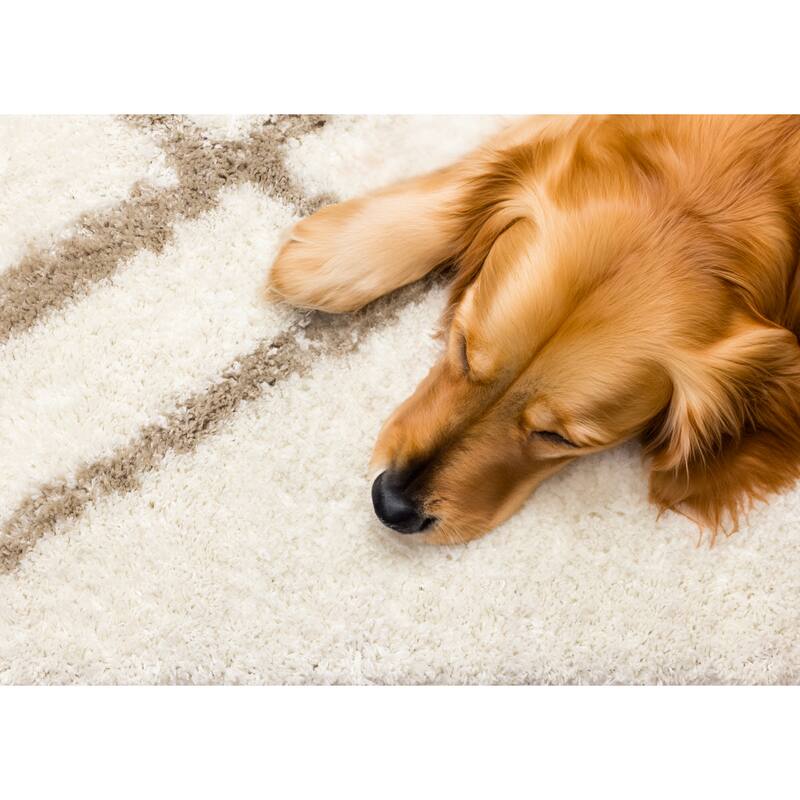 Taylor Collection - Soft Shag Area Rug