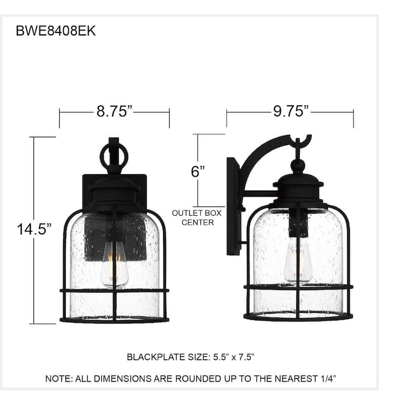 Bowles 1-Light Earth Black Outdoor Wall Lantern