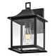 preview thumbnail 4 of 3, Lark 81590 Nolan 12" Tall Outdoor Wall Sconce with Clear Glass Shade