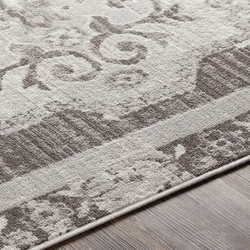 Livabliss St Tropez Updated Traditional Medallion Area Rug.