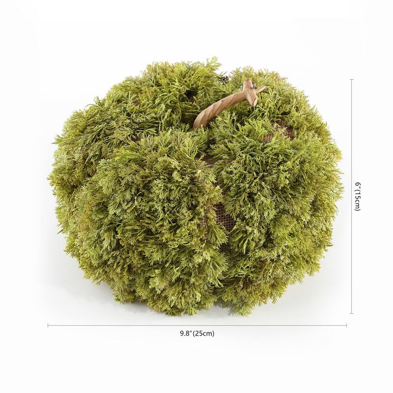 SAFAVIEH Joette Faux 10 Inch Moss Pumpkin - 10" W x 10" D x 6" H - 10Wx10Dx6H