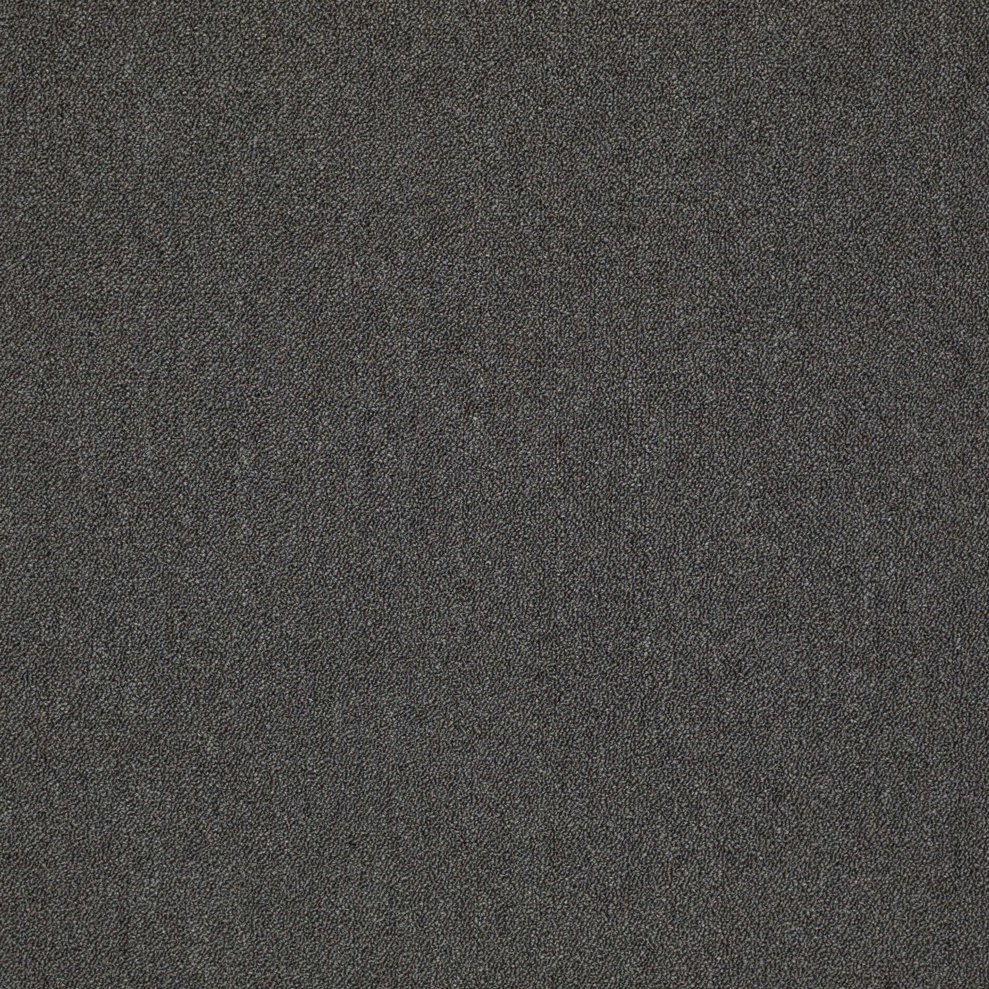 Shaw Philadelphia Commercial Counterpart 24" x 24" Glue Down Carpet