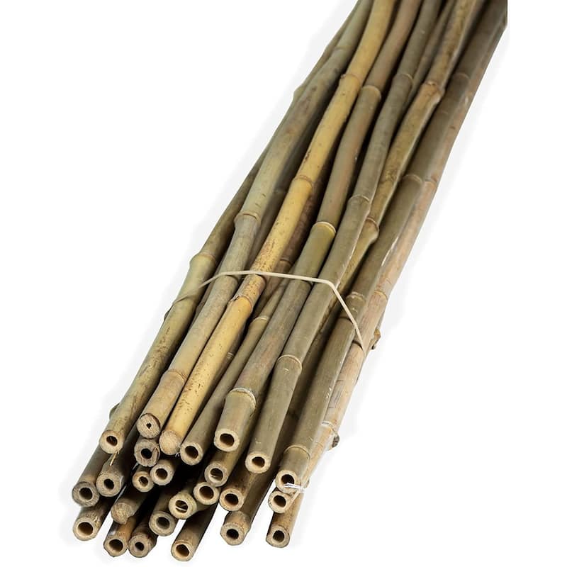 Bamboo Stakes For Gardening Plant Support for Garden Natural (25-Pack)