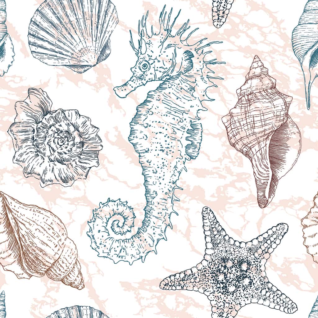 Marine Seahorse and Corals Removable Wallpaper - 24'' inch x 10'ft