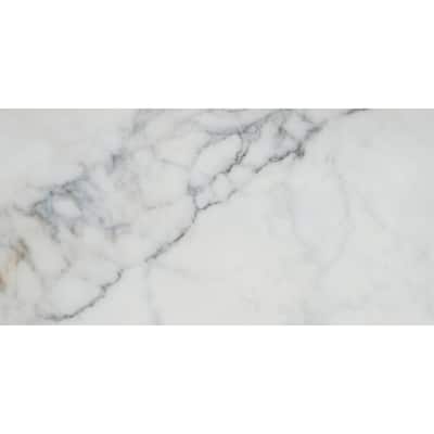 Emser Tile A86PARK1224P Parkview - 12" x 24" Rectangle Floor and Wall