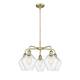 Option Antique Brass / Seedy