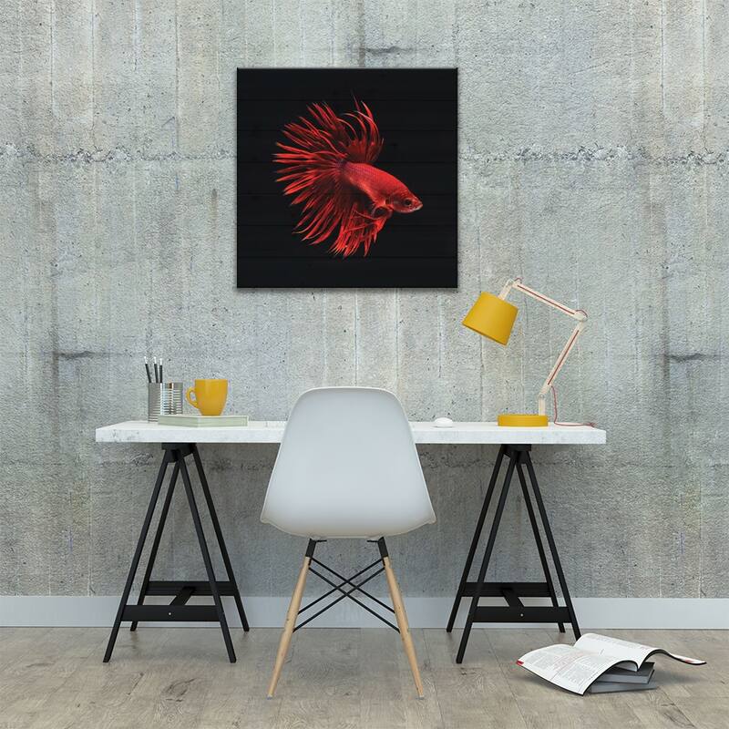Red Betta Fish Print On Wood by PhotoINC Studio - Multi-Color