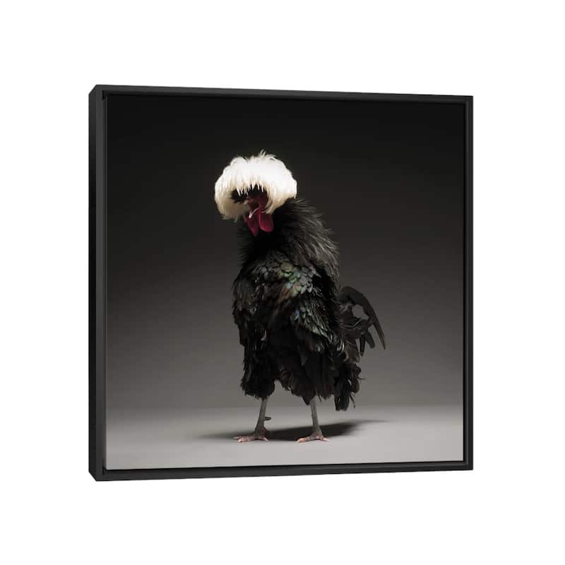 iCanvas "Black Polish Big" by CHICken Framed Canvas Print - Black - 37x37