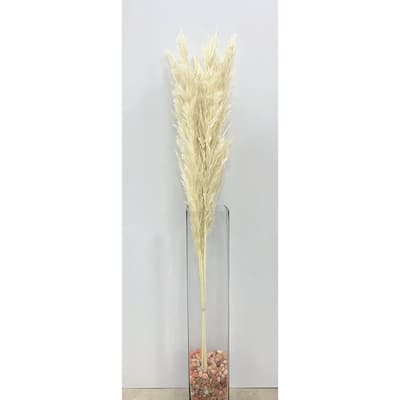 Tall Pampas Artificial Plant - 39.5" - Cream - Set of 5