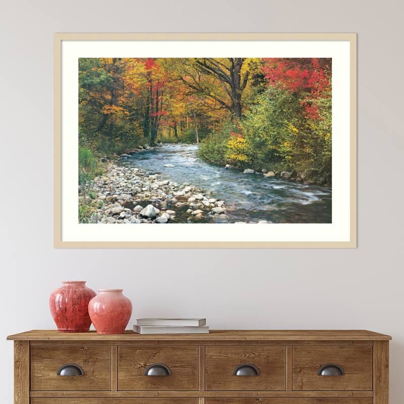 Forest Creek I Framed Art Print