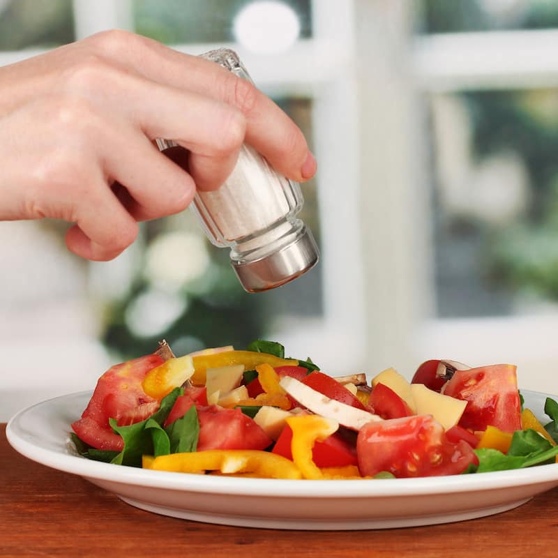 Salt Dredge Shakers Stainless Steel Spice Shakers W Handle and Lid - Silver