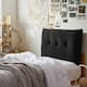 Option Black