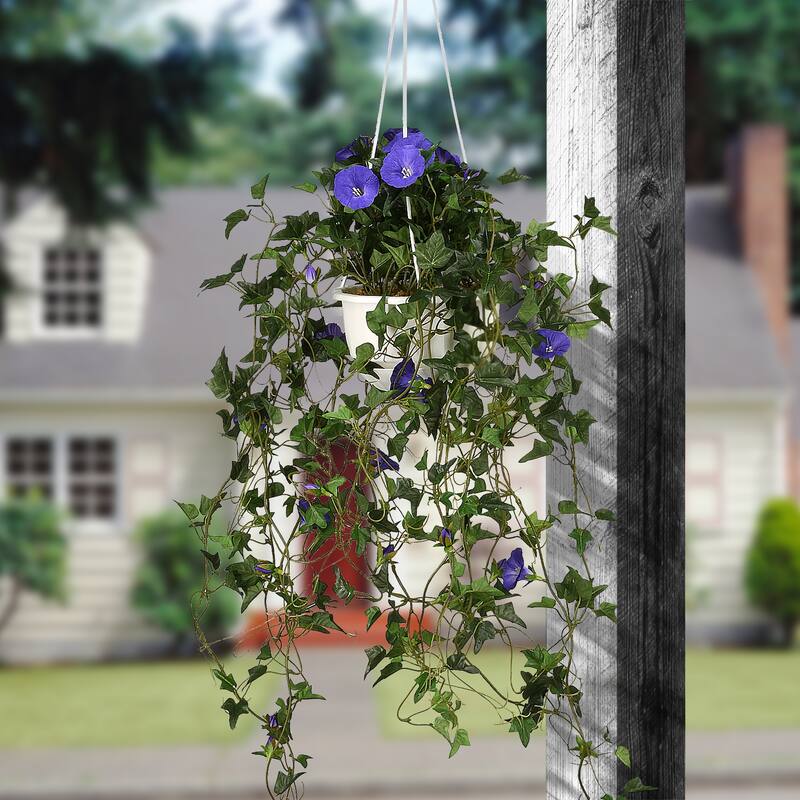 National Tree Company 44 in. Hanging Morning Glory Plant - 44in