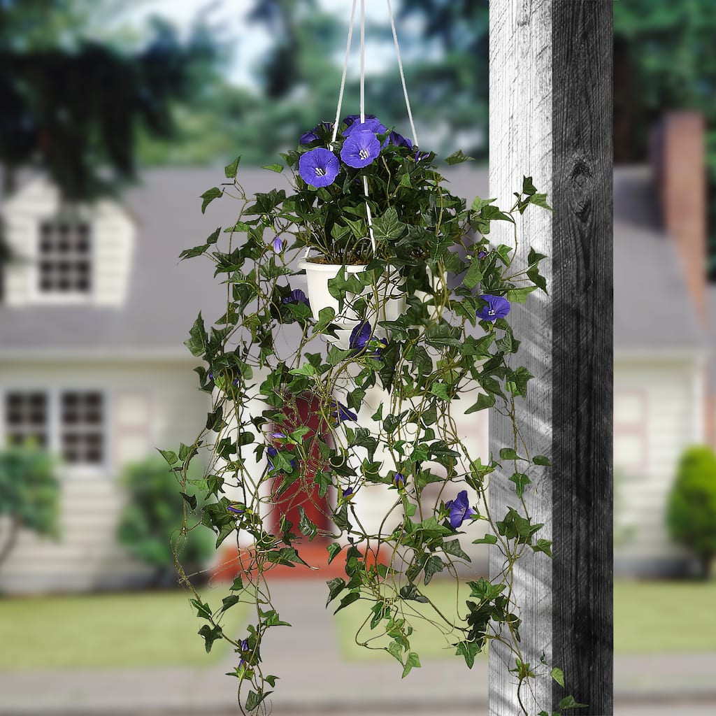 National Tree Company 44 in. Hanging Morning Glory Plant - 44in