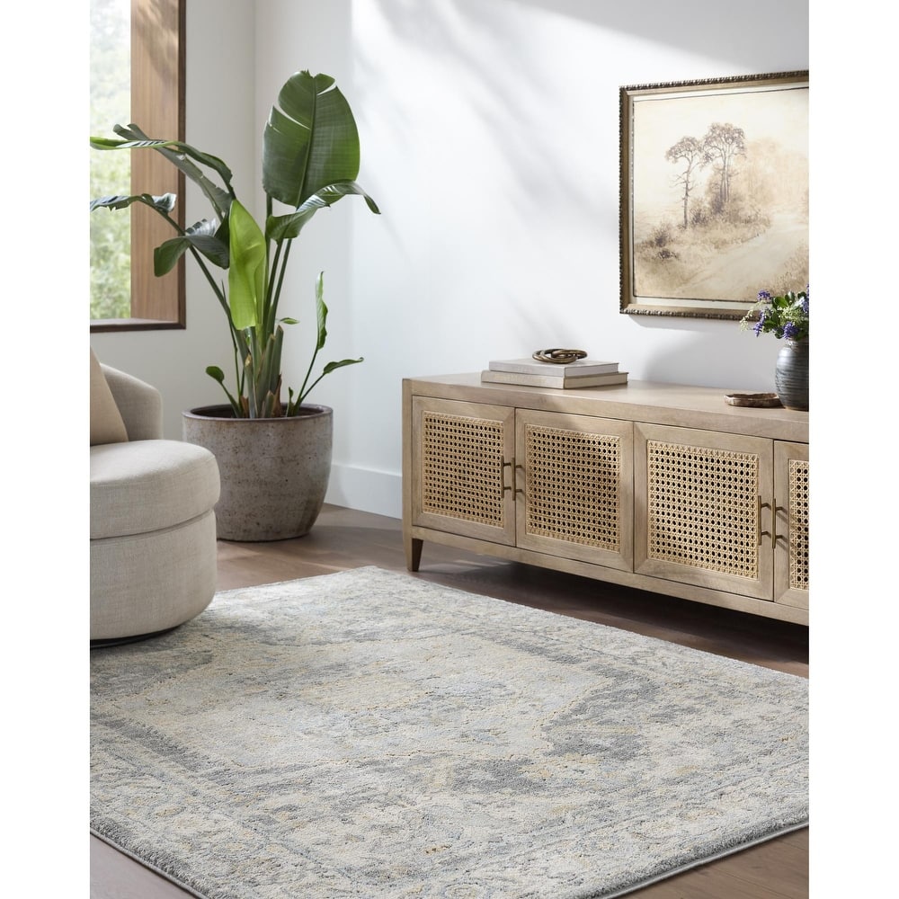 Livabliss Avellino Traditional Area Rug