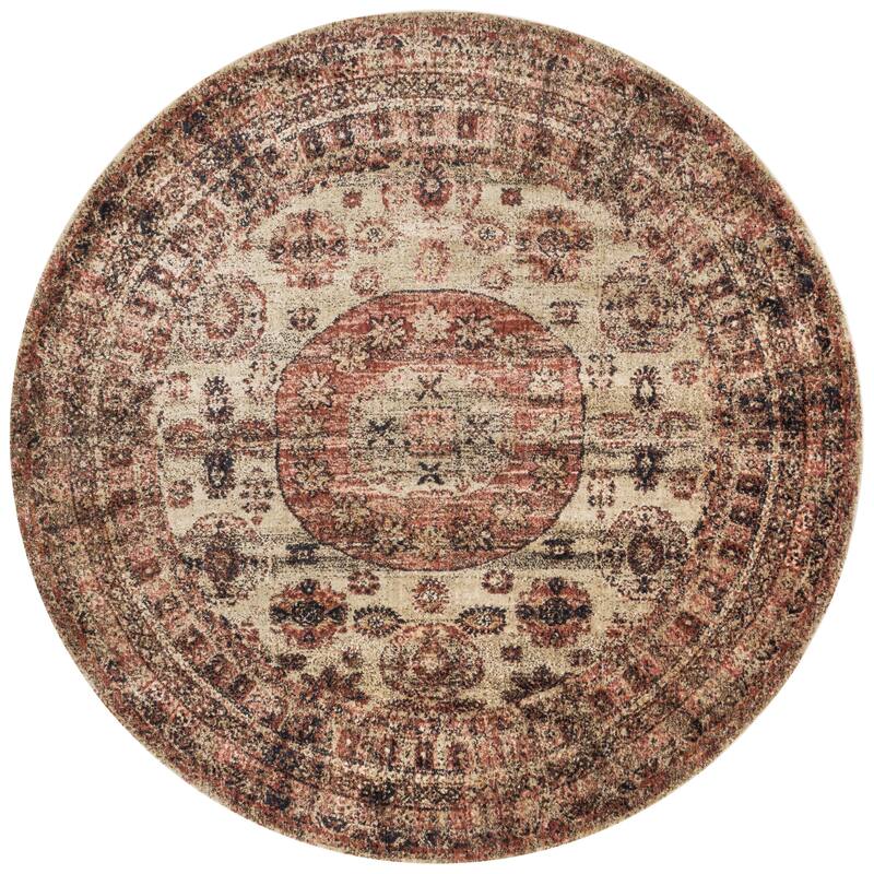 Alexander Home Contessa Traditional Medallion Distressed Rug