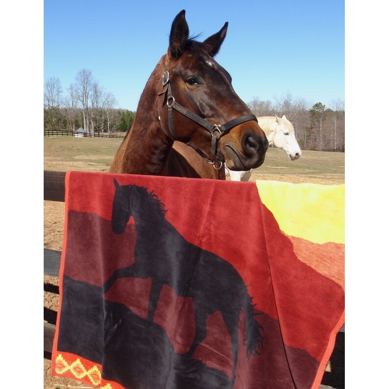 Pendleton celebrate the horse blanket sales