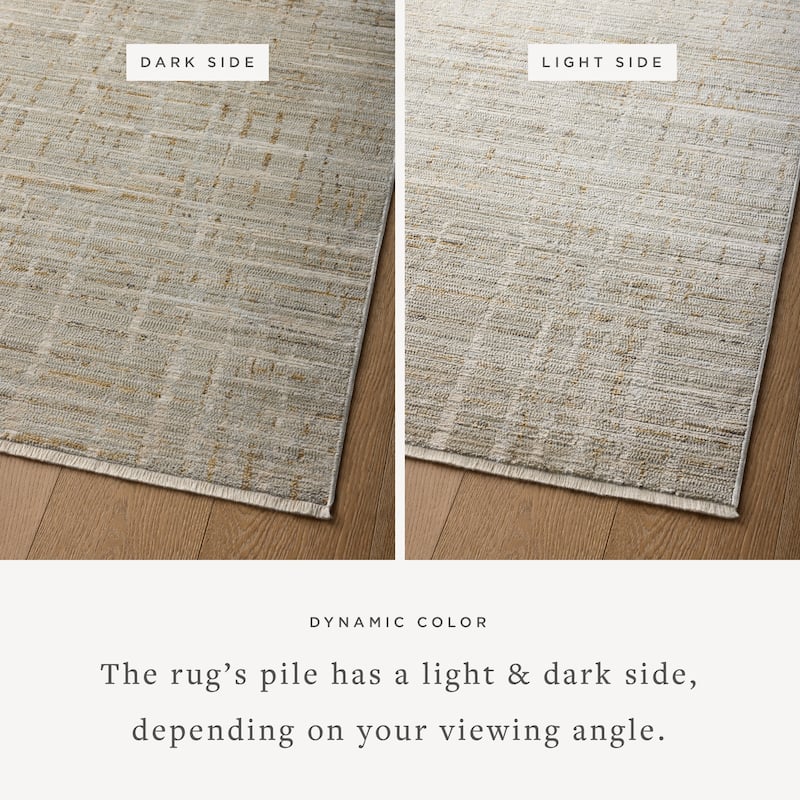 Alexander Home Bradley Modern Micro Fringe Area Rug