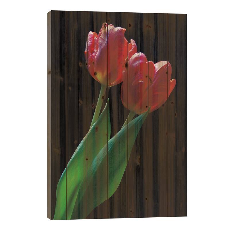 Romance Print On Wood by Ily Szilagyi - Multi-Color - 26x18x1.5