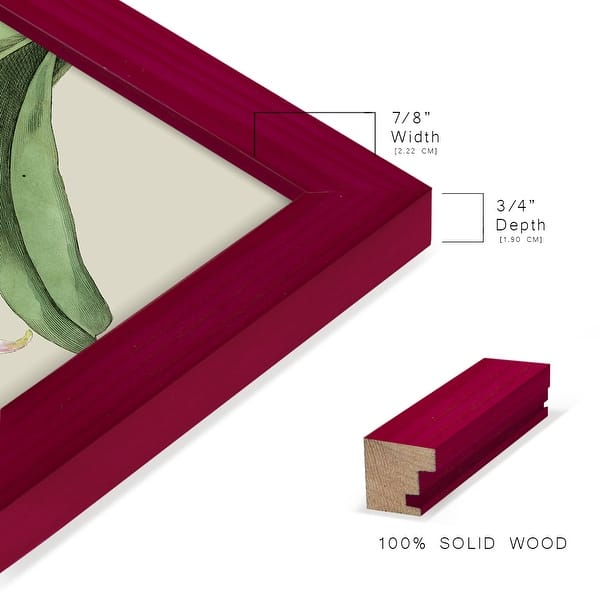 dimension image slide 3 of 15, Orchid Blooms I -Framed Print w/glass-Cherry Red