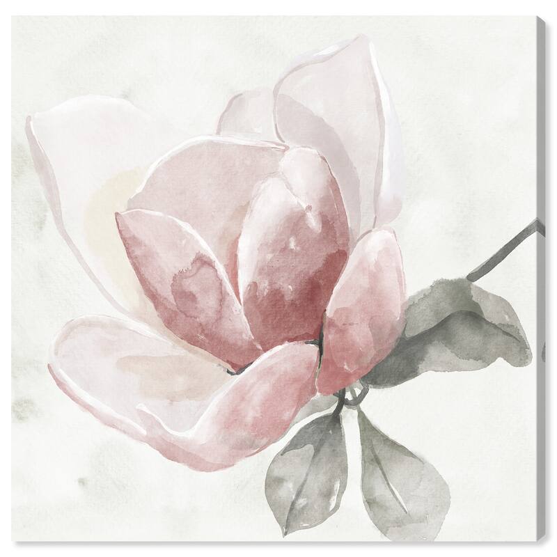 Art Remedy Faded Blush Rose Gallery Wrapped Floral Fine 1 Piece Canvas Wall Art - 40 x 40
