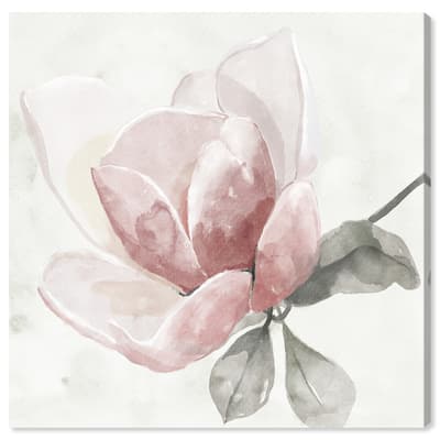 Art Remedy Faded Blush Rose Gallery Wrapped Floral Fine 1 Piece Canvas Wall Art