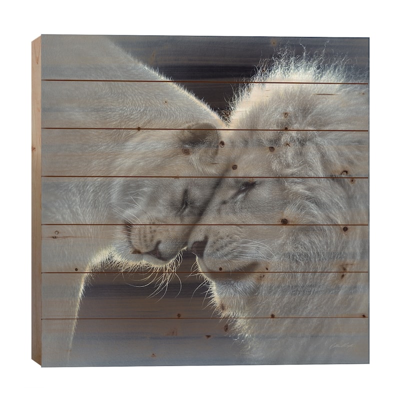 White Lion Love, Square Print On Wood by Collin Bogle - Multi-Color - 26x26x1.5