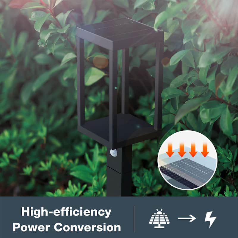 Solar Outdoor Pathway Sensor Light