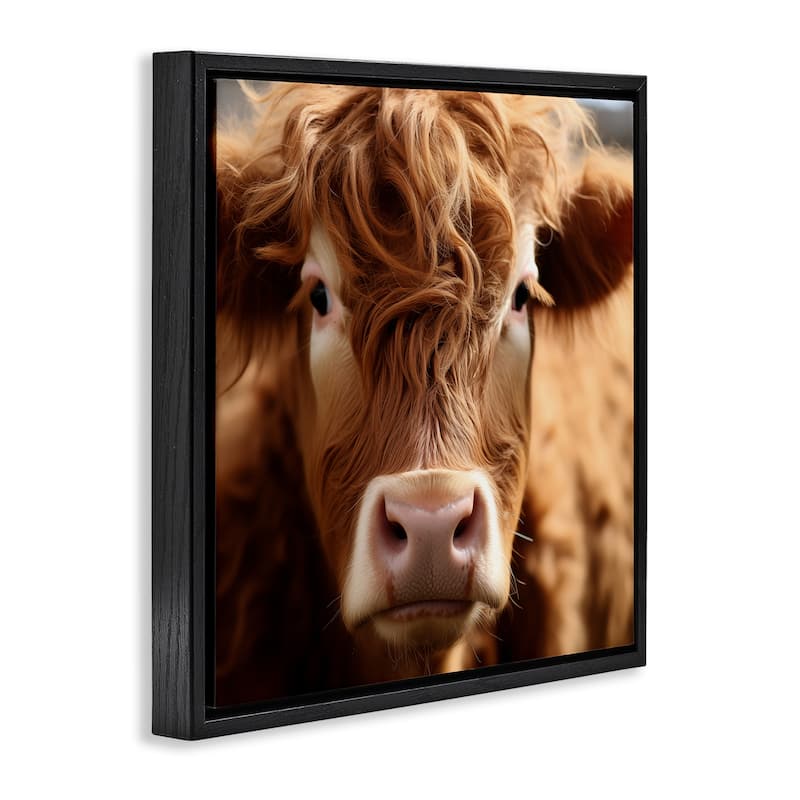 Stupell Close Up Furry Cow Portrait Framed Floater Canvas Wall Art Design By Heidi Kuntz