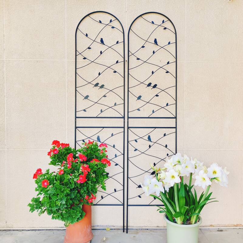 4 Pack Metal Garden Trellis