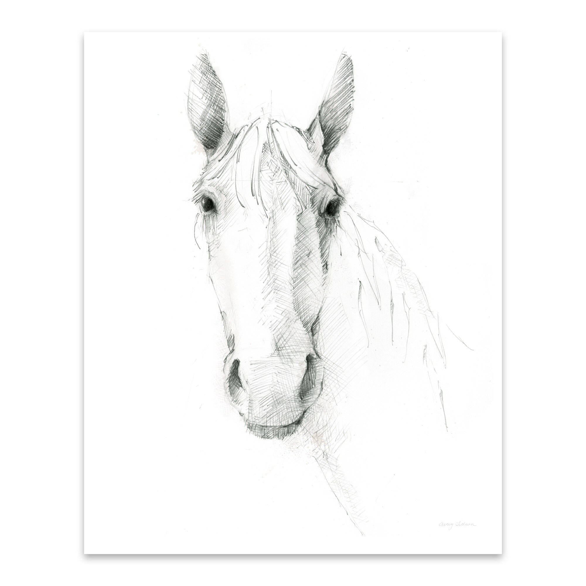 Animals Horse Nature Rural Drawing Metal Wall Art Print Overstock 31237484 Find & download the most popular animals vectors on freepik free for commercial use high quality images made for creative projects. overstock com