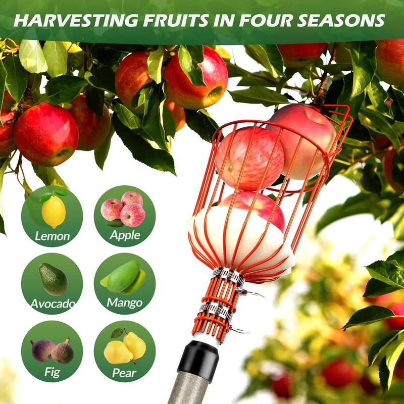 Walensee 23FT Fruit Picker, Adjustable Fruits Picker Tool with Fiberglass Pole, Big Basket and Storage Bag