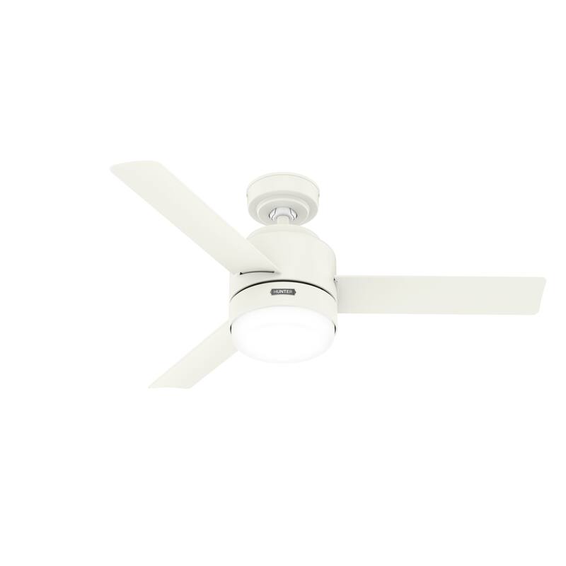 Hunter 44" Gilmour Outdoor Ceiling Fan with LED Light, Handheld Remote, Damp-Rated - Transitional, Contemporary