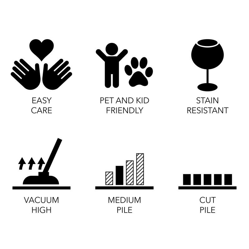 Grand Bazaar Saena Hand Woven Geometric Transitional Area Rug