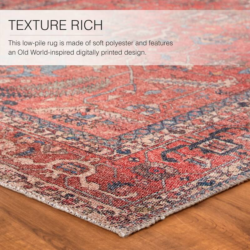 Galina Machine Washable Oriental Area Rug