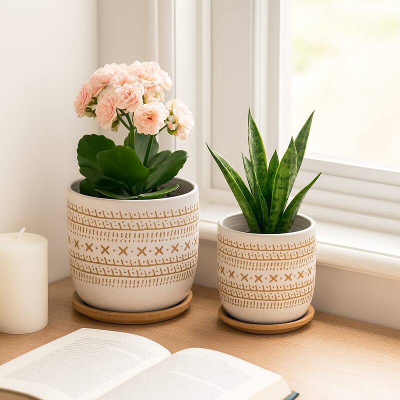 Decorative Round Ceramic Planter with Saucer - Set of 2