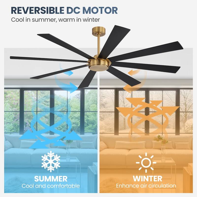 MLiAN 8-Plywood Double-Sided Blades Indoor Standard Black Ceiling Fan with Remote Down-Rod Mount