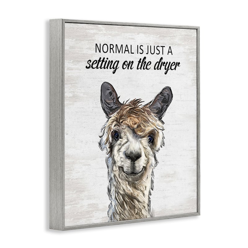 Stupell Normal is Just Dyer Setting Framed Giclee Art Design By Lettered and Lined