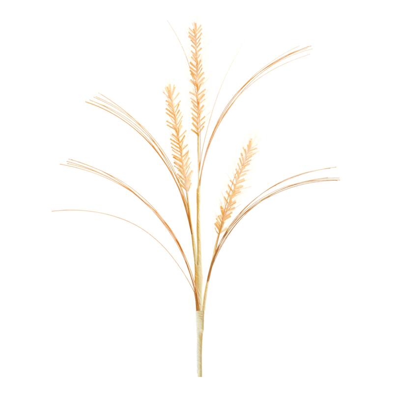 Foxtail and Pod Spray (Set of 12)