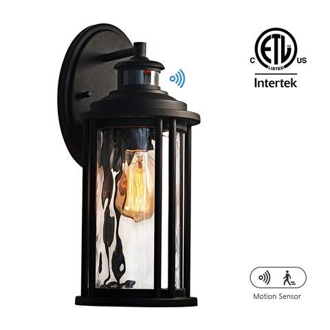1-Light Black Motion Sensor Dusk to Dawn Outdoor Wall Sconce with Clear Water Glass