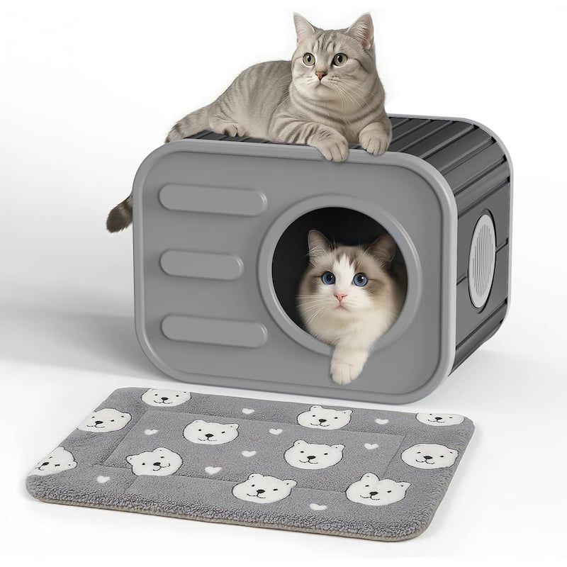 Cat Bed/House for Indoor resin Weatherproof (Blue) - black with cushion