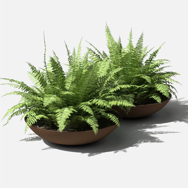 Veradek Pure Series Lane Bowl