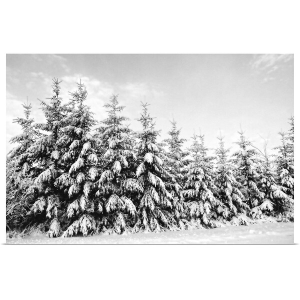 Poster Print /"Large snowflakes of first snow falling in deciduous forest/"