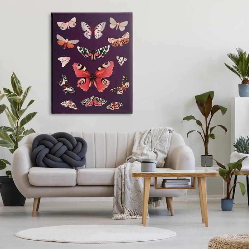 Stupell Vintage Wildlife Moths Canvas Wall Art Design by Diane Neukirch