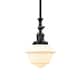 Option Oil Rubbed Bronze / Matte White Cased