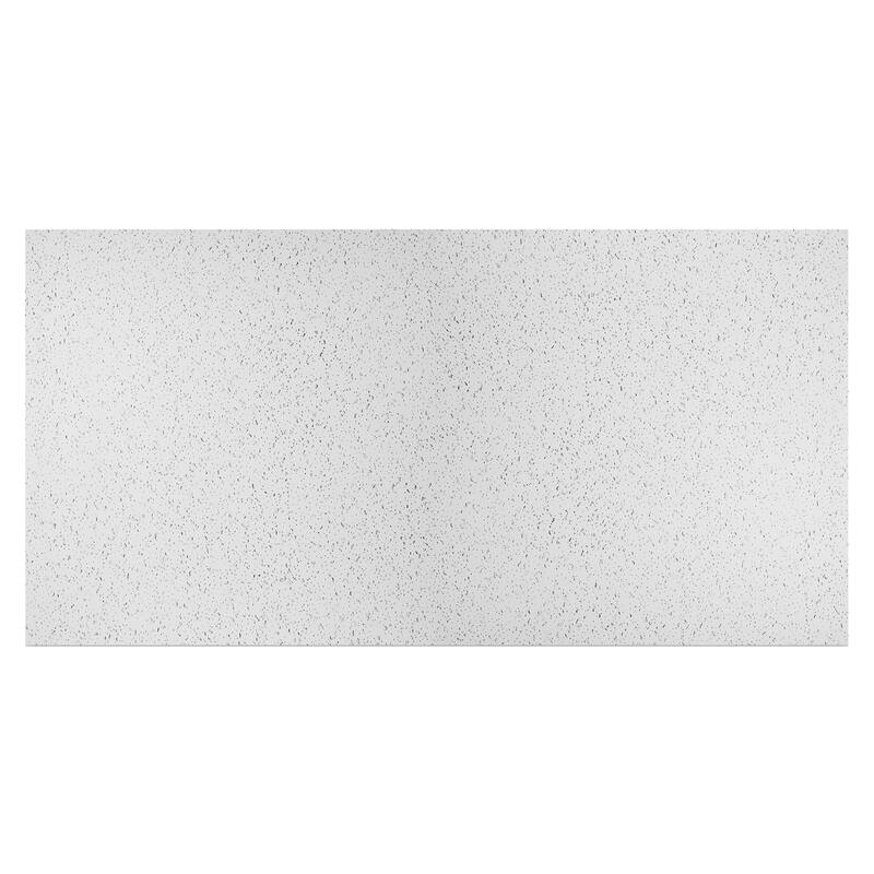Genesis Printed Pro White 2 x 4 Lay-in Ceiling Tiles