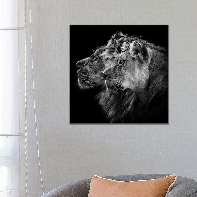 iCanvas "Lion And Lioness Portrait" by Laurent Lothare Dambreville Canvas Print - 26x26x1.5