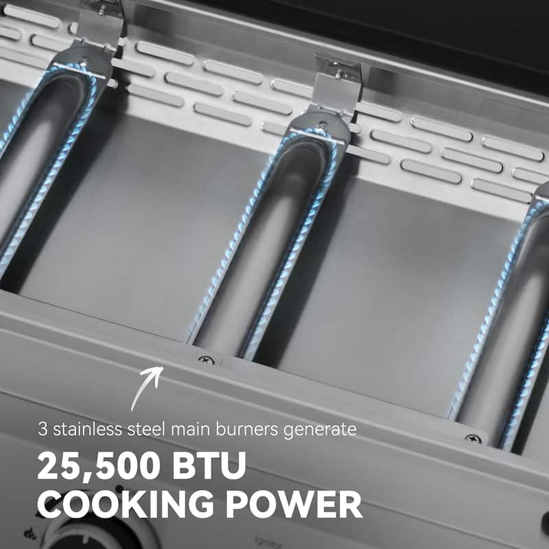 Royal Gourmet 24-Inch Portable Gas Griddle ,Silver