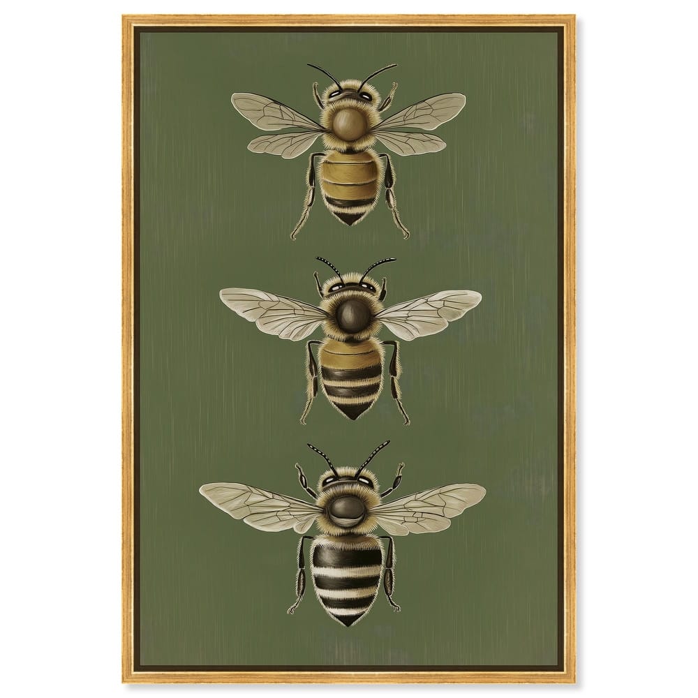 Anatomy of the Bee Canvas by Art Remedy