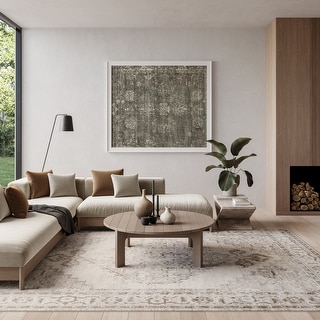 Nourison Astra Machine Washable Distressed Area Rug